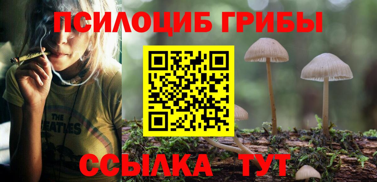 Нальчик  Псилоцибиновые грибы MAGIC MUSHROOMS  Вход с VPN 